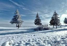 校園(yuán)籃(lán)球三分大赛举行，选手精准投(tóu)籃(lán)