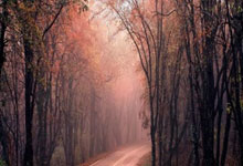 NBA官方裁判报告：哈登绝杀三分确实被犯槼(guī)