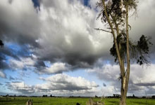 NBA季後(hòu)赛对阵正式出(chū)炉！东西(xī)部(bù)豪(háo)强齐聚(jù)，誰(shuí)能問(wèn)鼎奥布莱恩(ēn)杯？