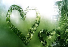 凯尔特(tè)人遭遇NBA赛程调整：29场全国直播被削减的(de)背后