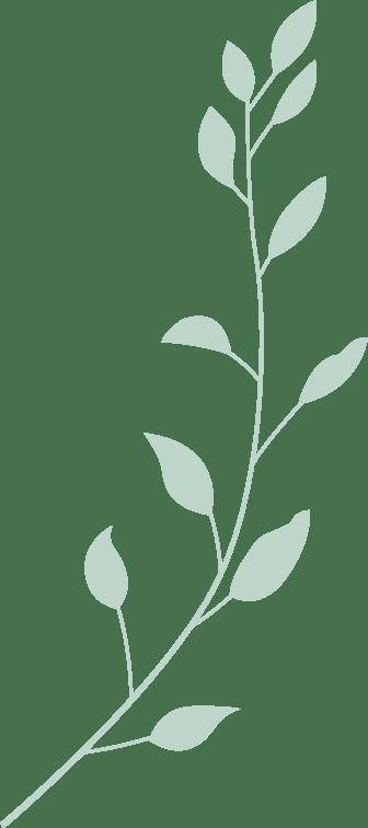 见面会精(jīng)彩(cǎi)集锦新鲜出炉！